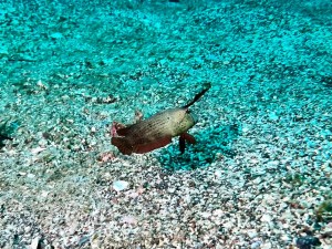 1764469690563-1_edited-1